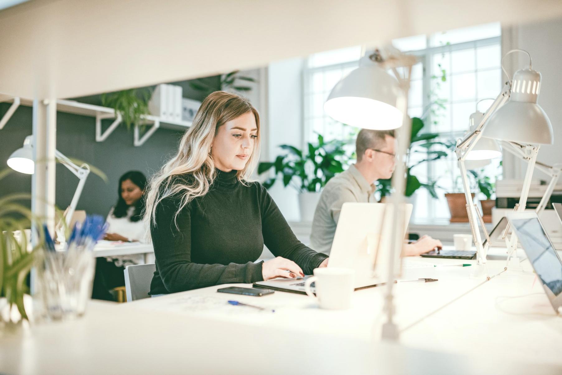 Teilnehmer arbeiten an Content-Optimierung in einem strukturierten Online-Seminar